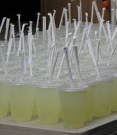 lemonade.jpg.scaled500