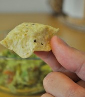 guac chip 1 guac chip 1