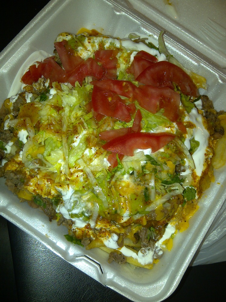Carne Asada Fries: Amazing in Theory, Disgusting in Photo